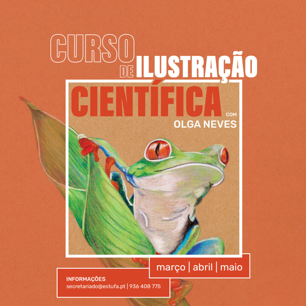 Curso de Ilustração Científica Associação Estufa